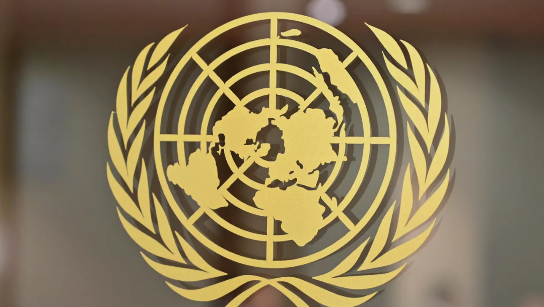 В ООН не могут подтвердить "геноцид" на Украине