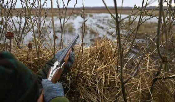 В Красноярском крае сезон охоты на птицу стартует в конце августа