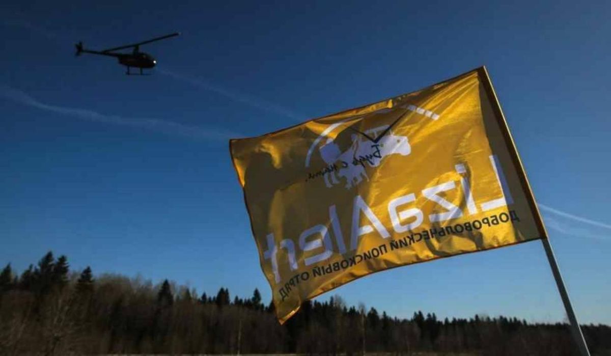 В Петербурге и Ленобласти в октябре пропали почти 300 человек