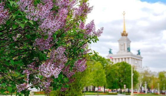 До +21 пообещали москвичам к выходным