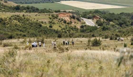 На Раздорских склонах Ростовской области появилась новая экологическая тропа