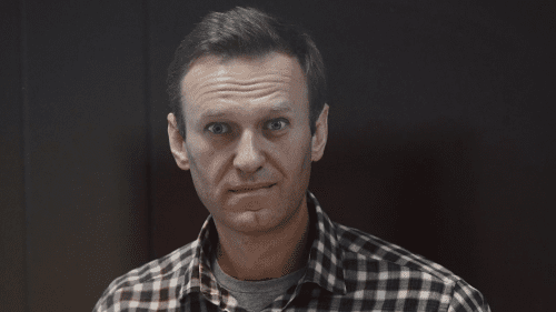 В моче Навального нашли новое вещество: спецдокладчик ООН
