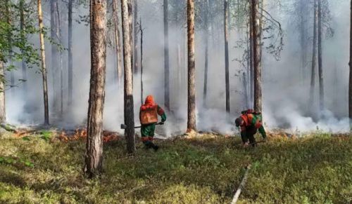В Татарстане раньше обычного срока объявят пожароопасный сезон 
