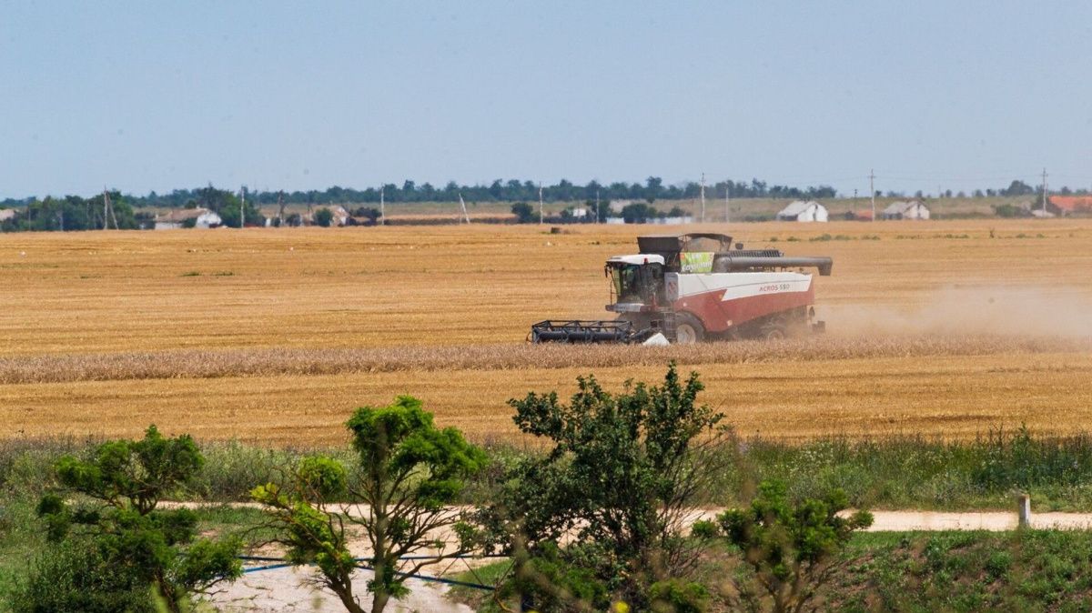 В Крыму заявили о рекордном урожае зерна