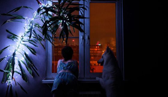 В Ленобласти разрешили новогодние фейерверки