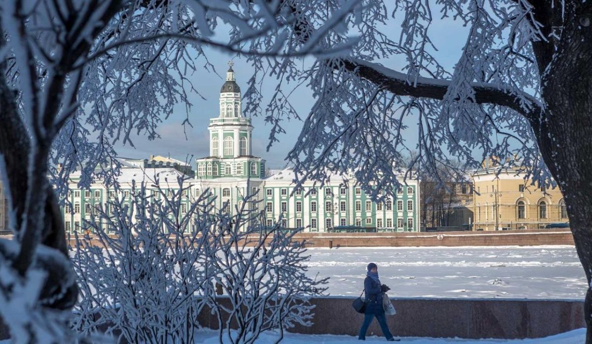 В Питер едут политические гости из ЦАР