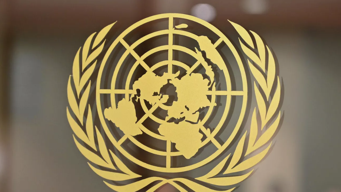 Россия примет участие в выборах в Совет ООН