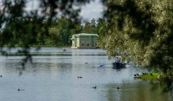 Дворцовый парк в Гатчине откроют после просушки в ближайшие дни
