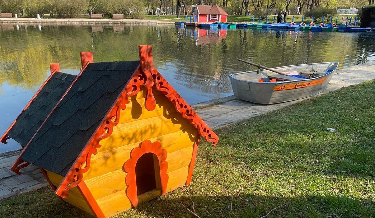 В Москве сотни плавучих домиков для уток установили на водоёмах