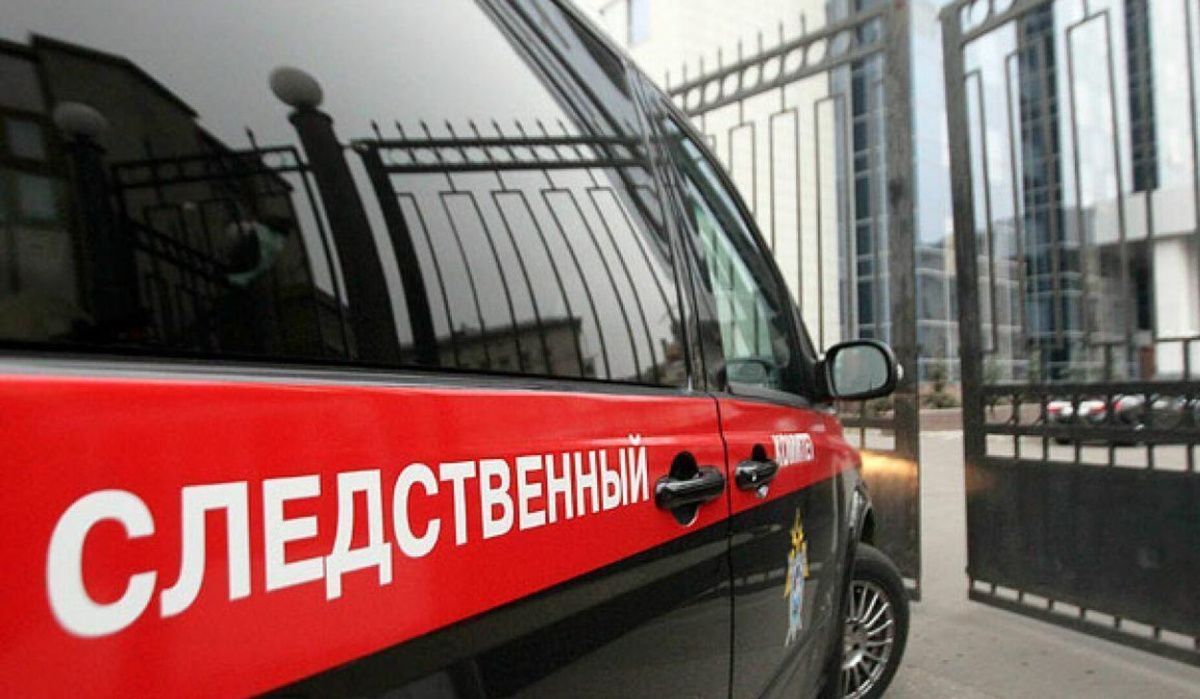 В Нижнем Новгороде полиция задержала подростков за издевательства над пенсионеркой