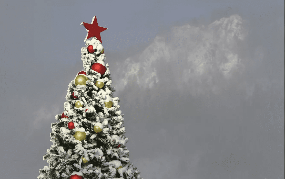 Зачем мужчина влез на новогоднюю ель Ярославской области