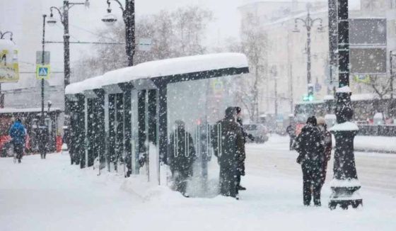 Новые остановки появятся в Перми