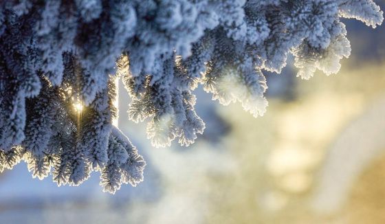 Синоптики сообщают о фиксации в Подмосковье 30-градусных морозов