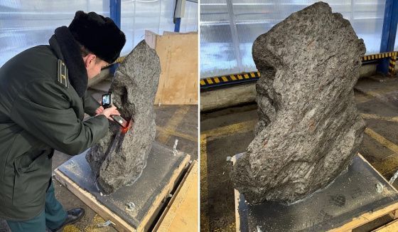 Таможенной службой в порту Петербурга обнаружен огромный мериорид возрастом 4,5 млрд лет