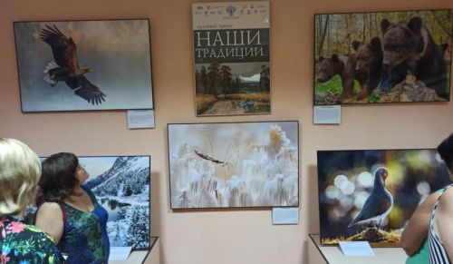 В ЛНР привезли выставку работ российских фотографов