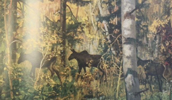 Выставка «Линии жизни и войны» стартует в Музее Победы