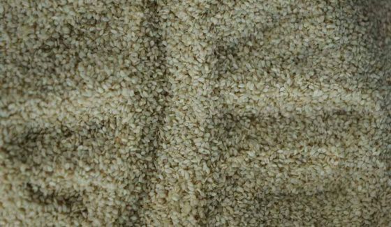 28 тонн индийского кунжута не пустили в Петербург