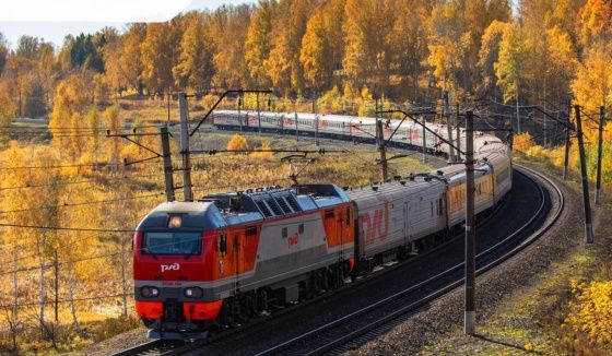 Пропавшую под Воронежем собаку Шуру нашли через шесть дней поисков