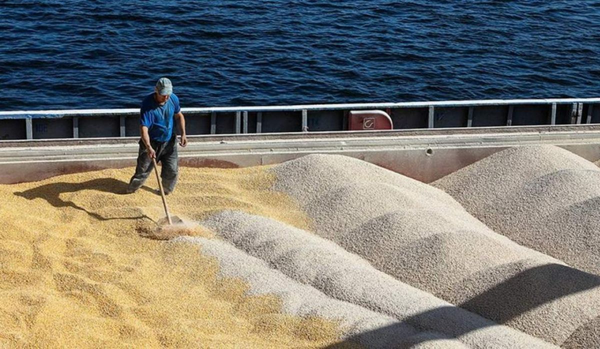 Мировые цены на зерно упали на 10% после слов Путина
