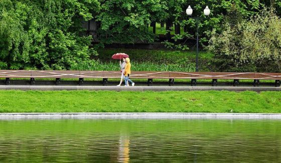 В Петербурге 19 августа ожидается выпадение до 20 мм осадков 