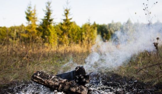 В Воронежской области сохраняется оранжевый уровень погодной опасности