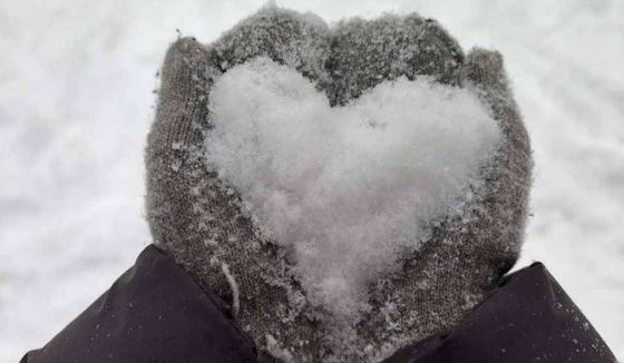 Леус сообщил о погодных условиях в Петербурге на 15 января