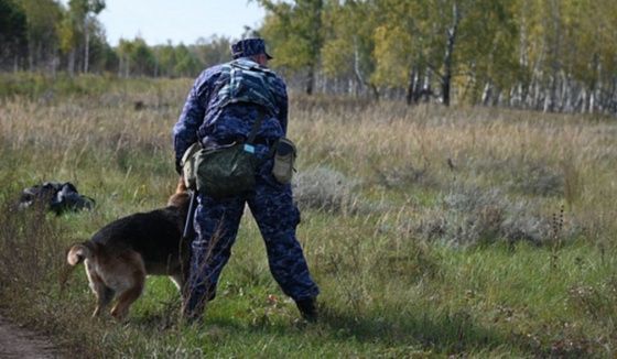 Бывший главный кинолог новосибирского ГУ ФСИН осужден за взятки