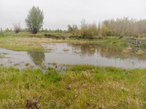 В Омске заповедник затопило канализационными стоками 