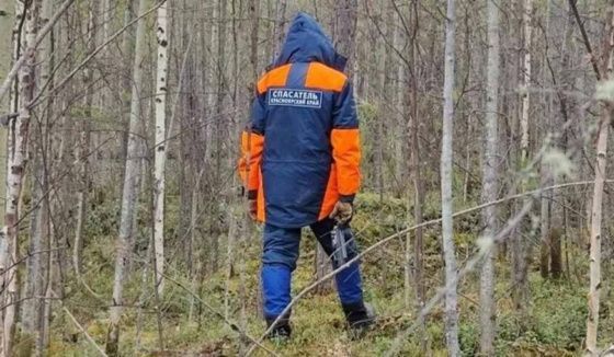 Следы медведей обнаружены на месте пропажи семьи Усольцевых под Красноярском