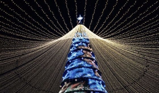 В Казани торжественно зажгли огни на главной новогодней елке Татарстана