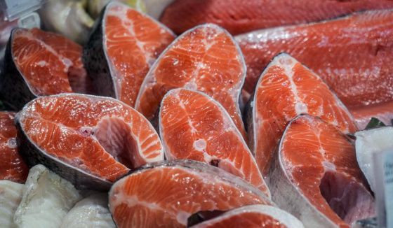 Рыбу и морепродукты включат в новое школьное меню Новосибирска
