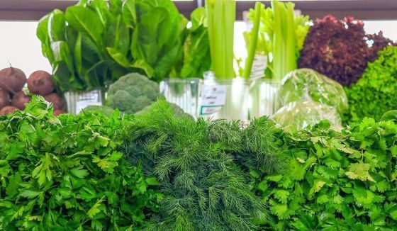 Редис и первая весенняя зелень появились на московских ярмарках выходного дня