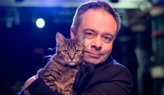 Кошка из зоны СВО дебютировала в спектакле Театра Куклачева