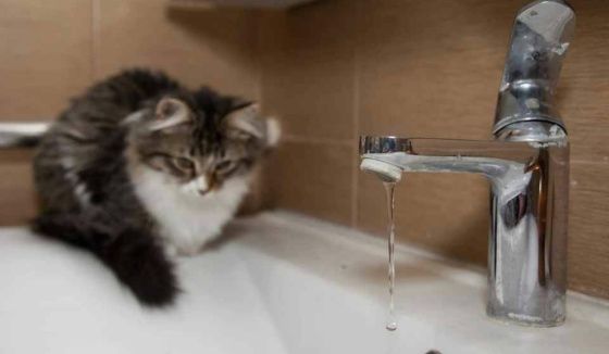 В Перми с нового года повысятся тарифы на воду