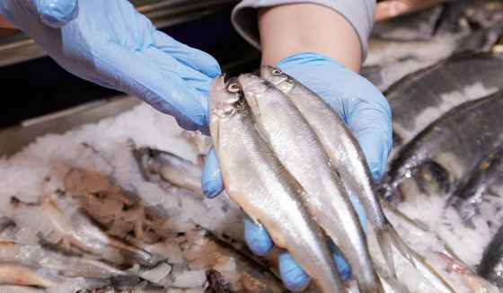 На рыбных рынках «Москва — на волне» начался сезон корюшки