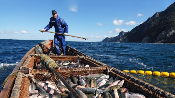 Японцы не договорились с Россией о ловле рыбы у острова Кунашир