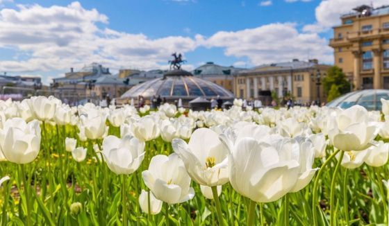 Теплая и дождливая погода ожидается в первые дни лета