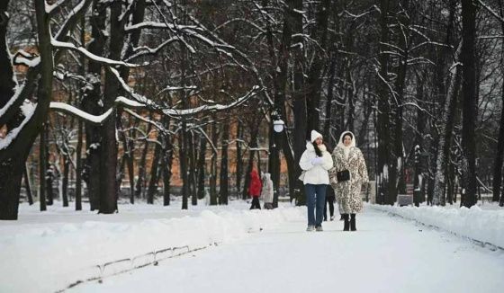 Колесов: холод ещё вернётся в город на Неве