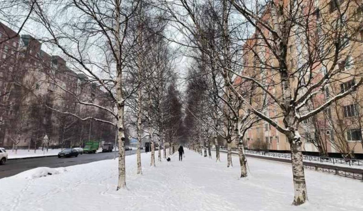 Неделя в Санкт-Петербурге начнётся с высокого атмосферного давления