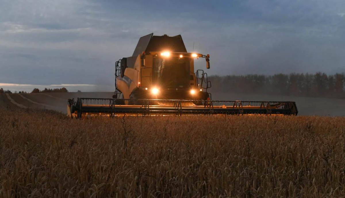Россия собрала рекордные 155,5 миллиона тонн зерна