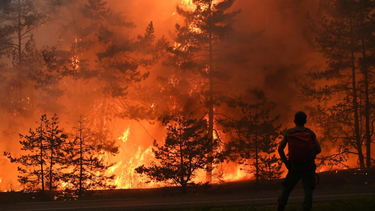 В Кремле прокомментировали лесные пожары 