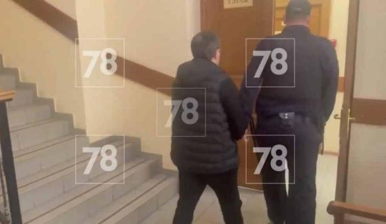 Суд избрал меру пресечения петербуржцу, вытолкнувшему проводницу из поезда