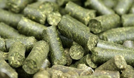 "Птицефабрика Чайковская" наращивает производство витамино-травяной муки 