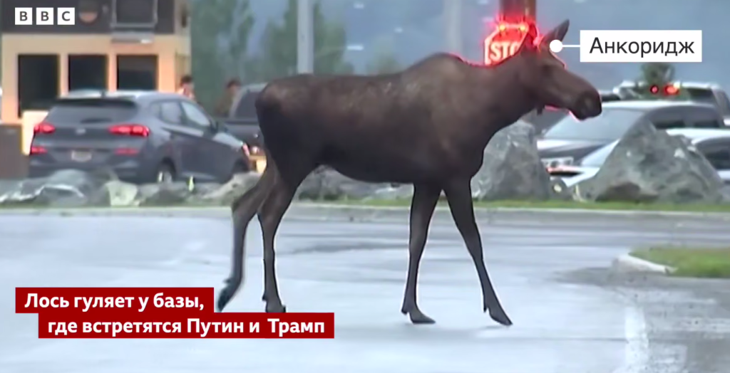 Безымянный.png
