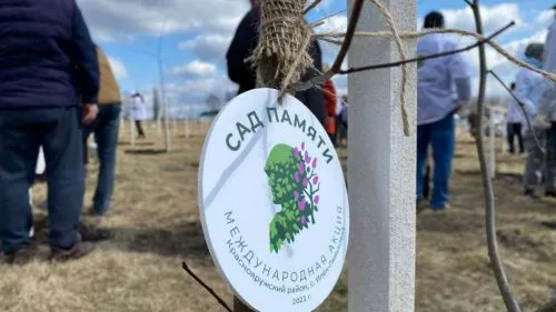 Волонтёры «Сада памяти» высадили первый миллион деревьев