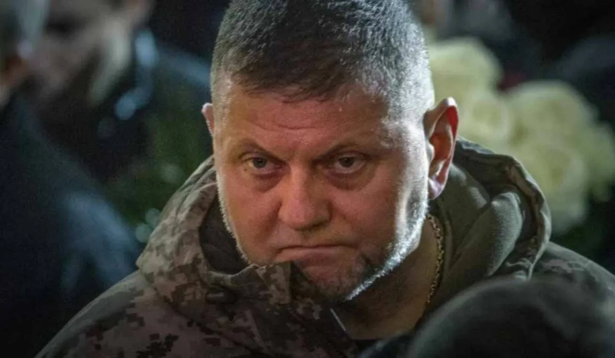 "Ненавижу Зеленского": украинцы неожиданно отреагировали на отставку Залужного