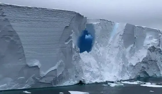 Питерские учёные предрекли исчезновение крупнейшего в мире айсберга 