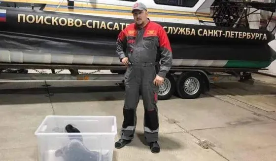 В Петербурге спасли погибающего тюленёнка