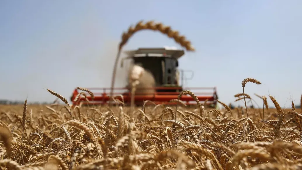 У России нет проблем с обеспечением рынков зерном - Лавров