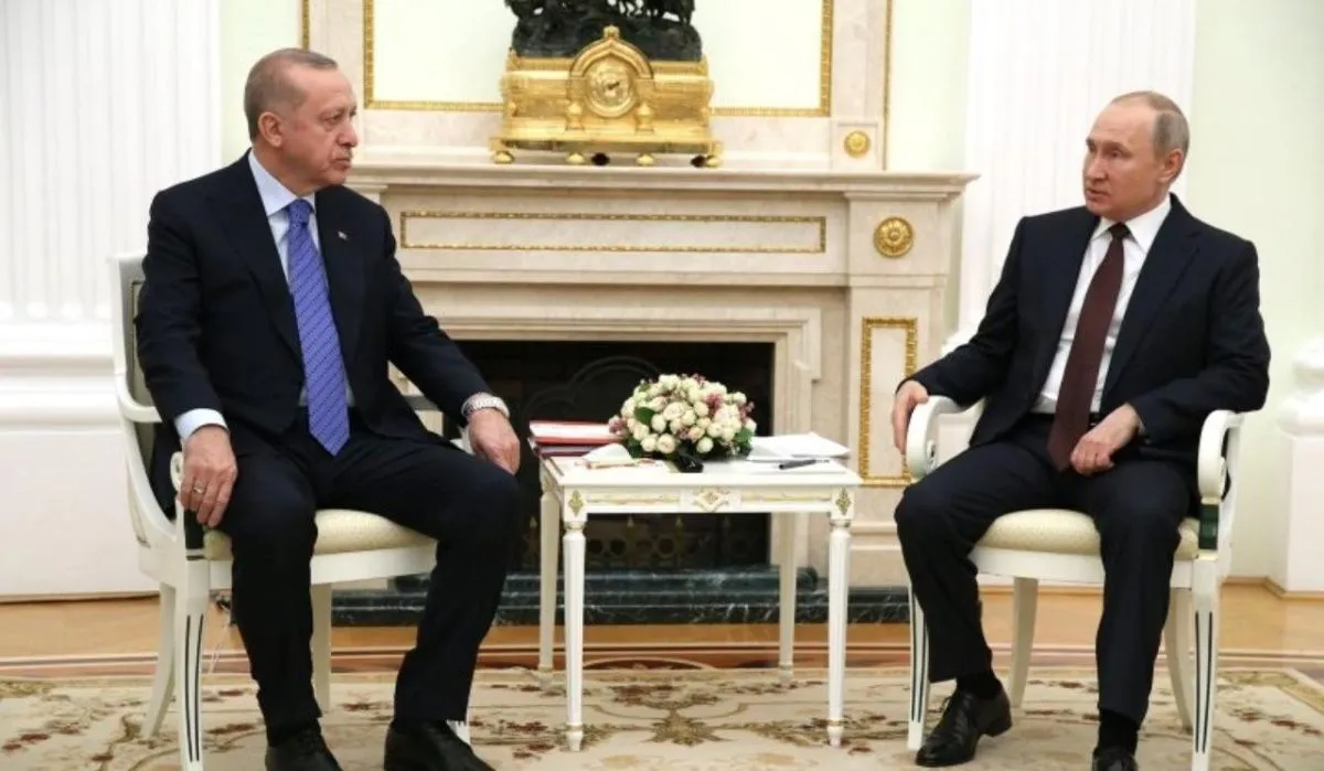 Стали известны подробности нового телефонного разговора Путина и Эрдогана